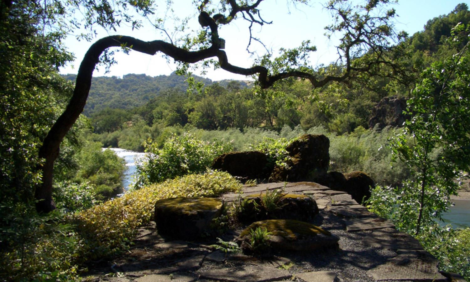 Chalk Hill Artist Residency Program Artist Communities Alliance